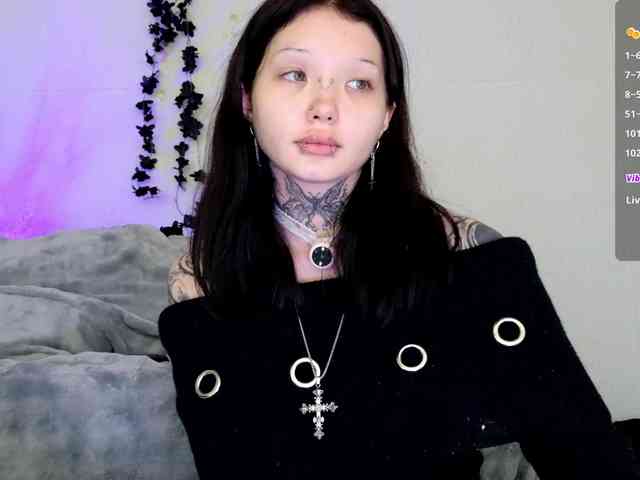 Leinbone webcam