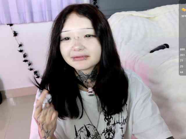 Leinbone webcam