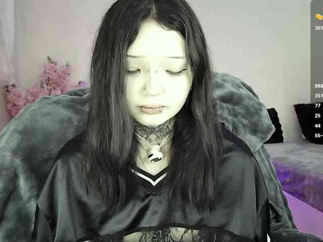 Leinbone webcam