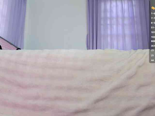 Leinbone webcam