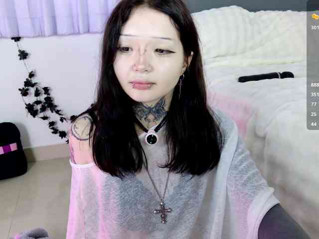 Leinbone webcam