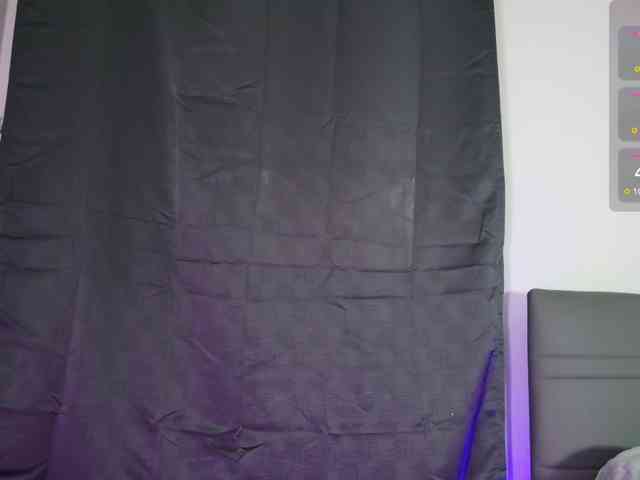 Leinbone webcam