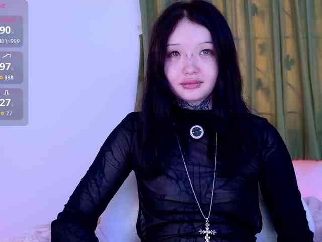 Leinbone webcam