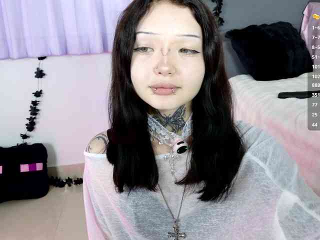 Leinbone webcam