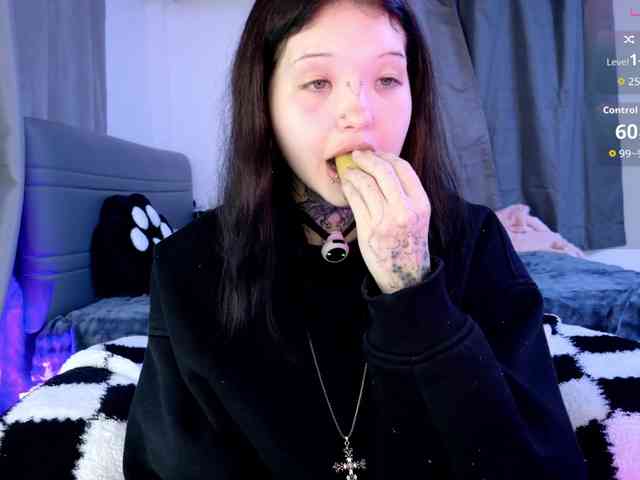 Leinbone webcam