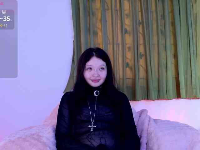 Leinbone webcam