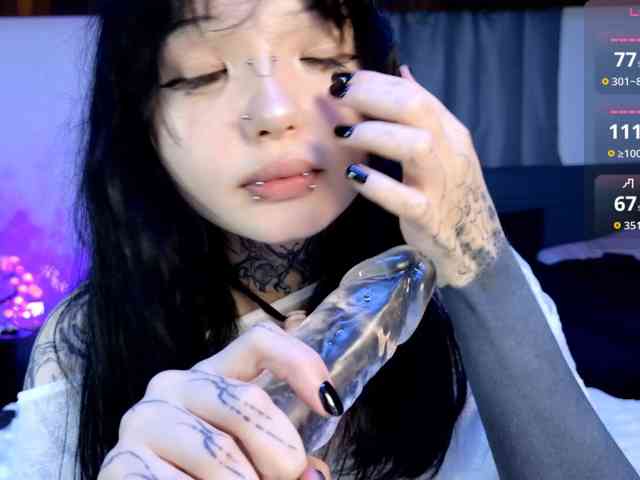 Leinbone webcam