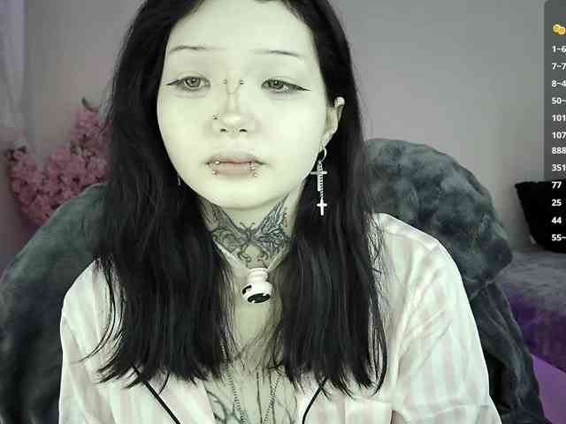 Leinbone webcam