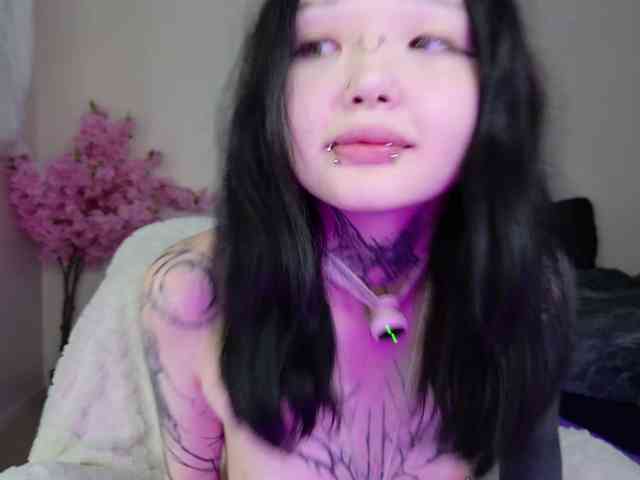 Leinbone webcam