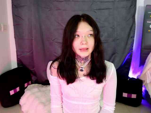 Leinbone webcam