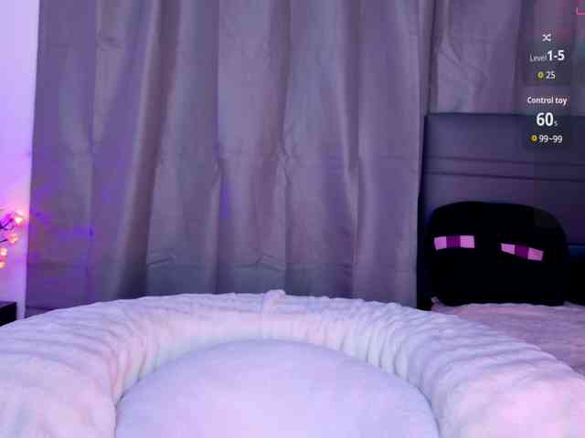 Leinbone webcam
