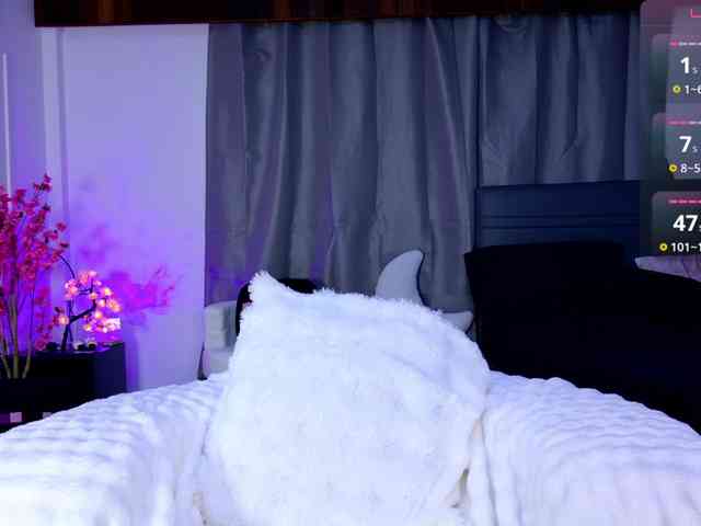 Leinbone webcam