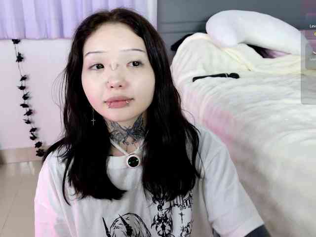 Leinbone webcam