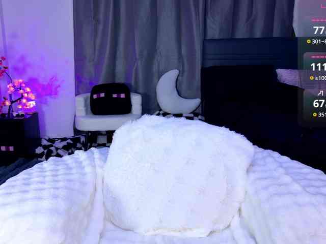 Leinbone webcam