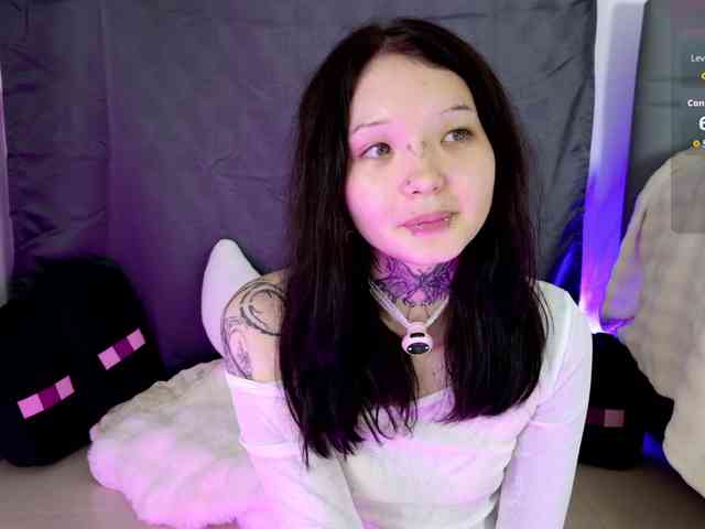 Leinbone webcam