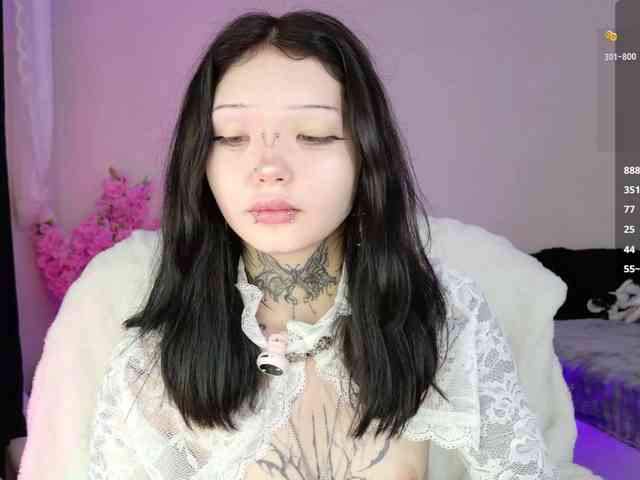 Leinbone webcam