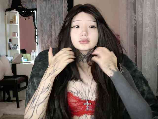 Leinbone webcam