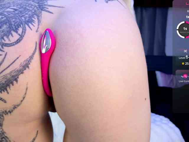 Leinbone webcam