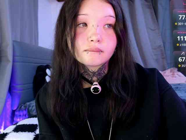 Leinbone webcam