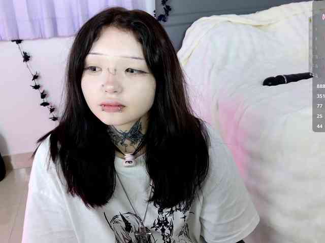 Leinbone webcam