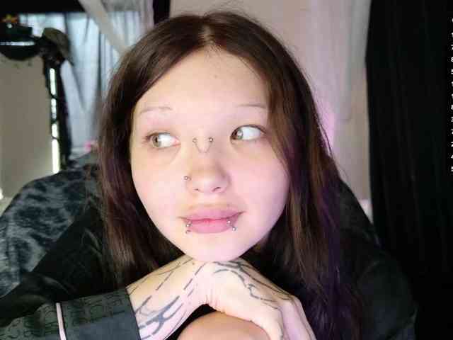 Leinbone webcam
