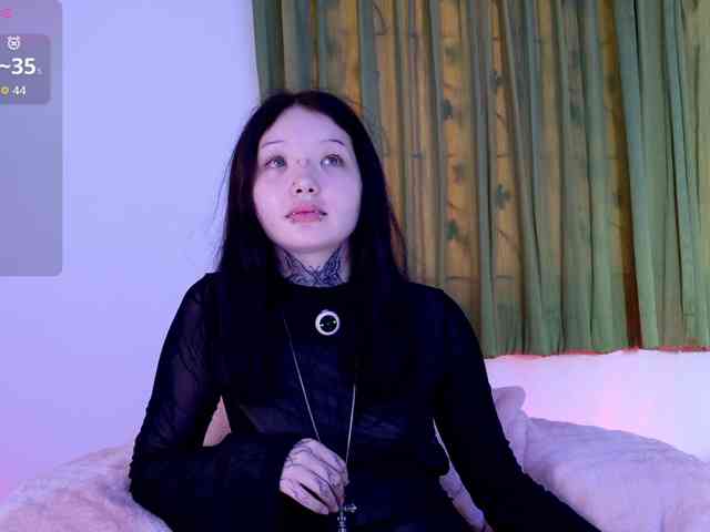 Leinbone webcam