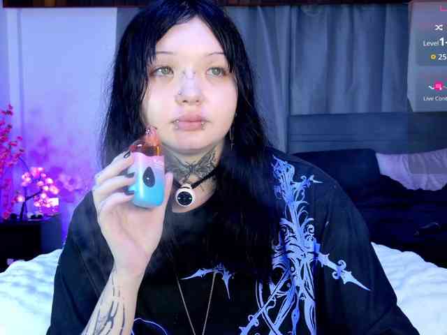 Leinbone webcam