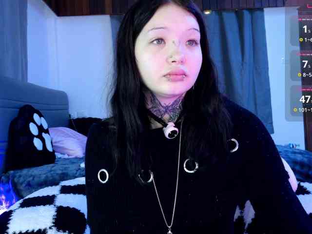 Leinbone webcam