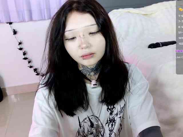 Leinbone webcam