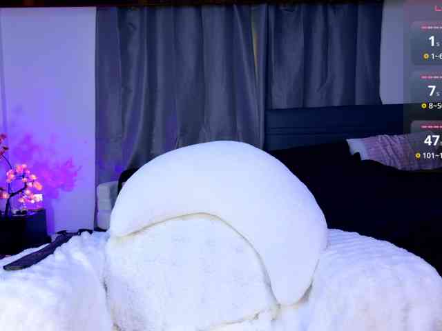 Leinbone webcam
