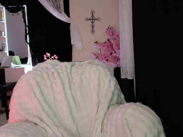 Leinbone webcam