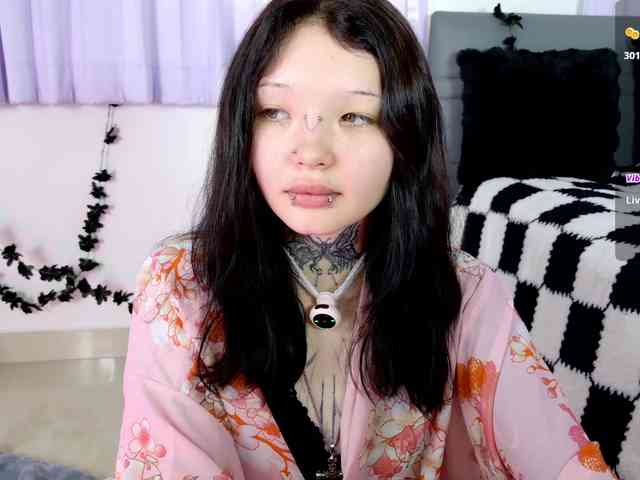 Leinbone webcam