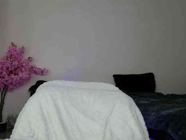 Leinbone webcam