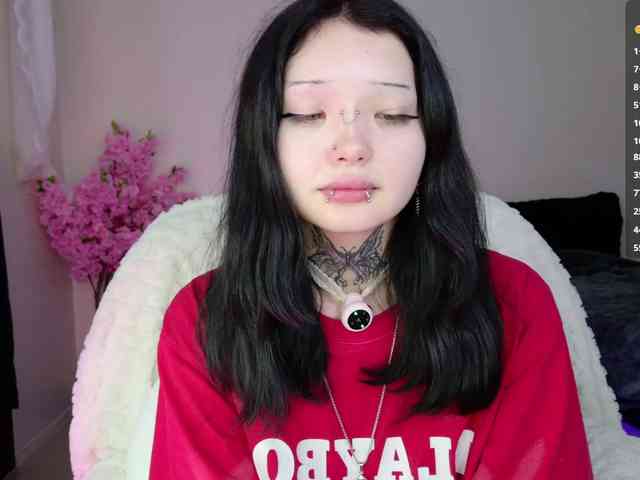 Leinbone webcam