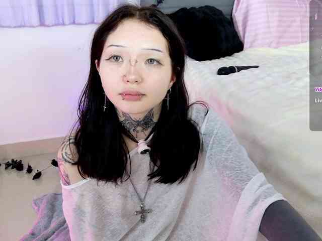 Leinbone webcam