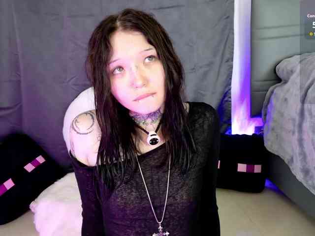 Leinbone webcam