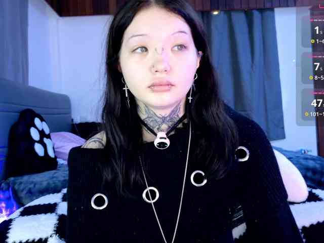 Leinbone webcam