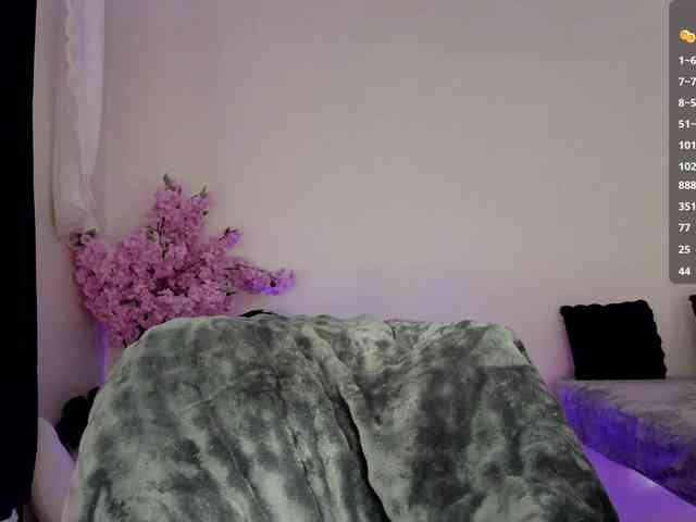Leinbone webcam