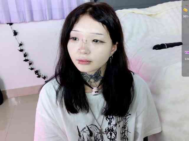 Leinbone webcam