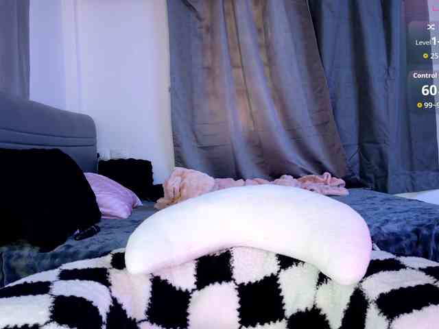 Leinbone webcam