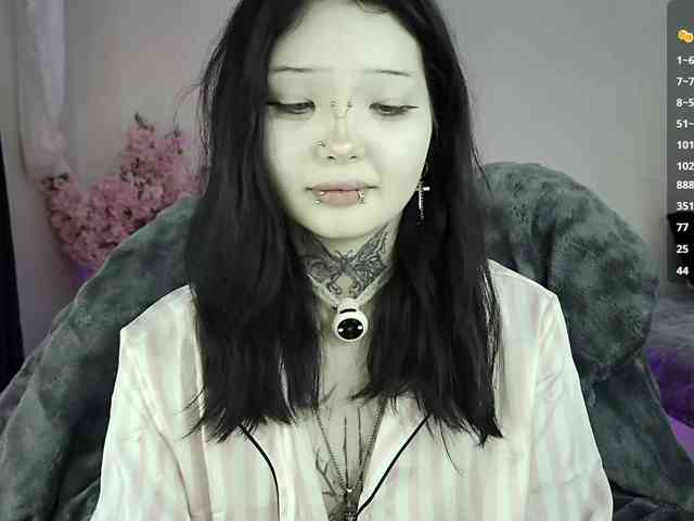Leinbone webcam