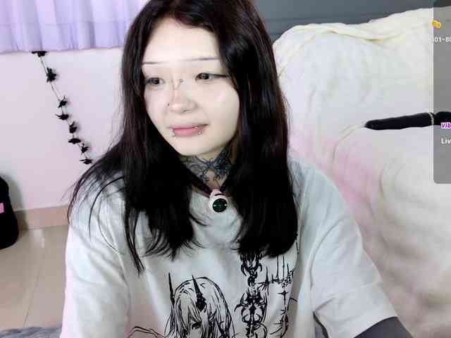 Leinbone webcam