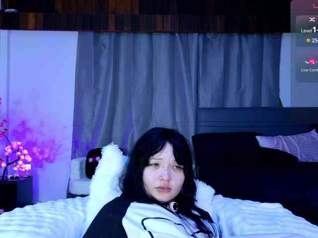 Leinbone webcam