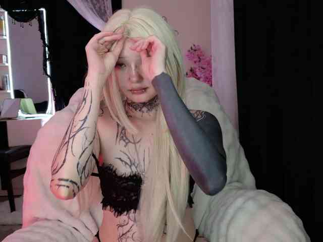 Leinbone webcam