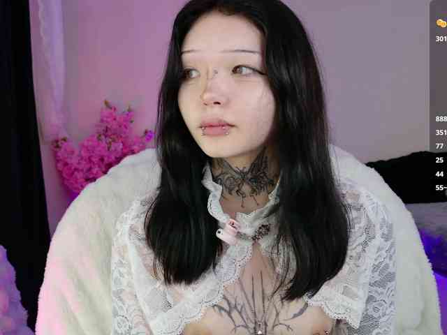 Leinbone webcam