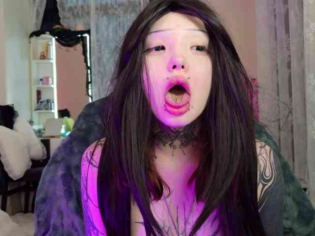 Leinbone webcam