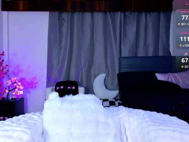 Leinbone webcam