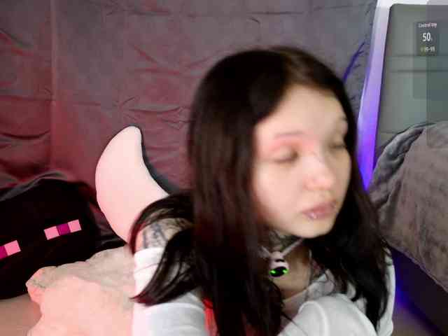 Leinbone webcam