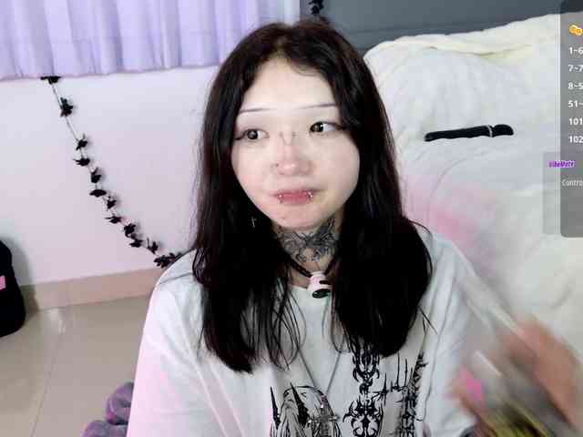 Leinbone webcam