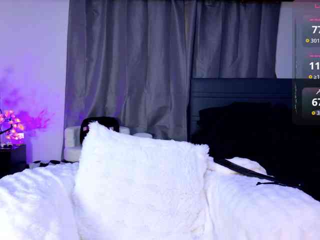 Leinbone webcam